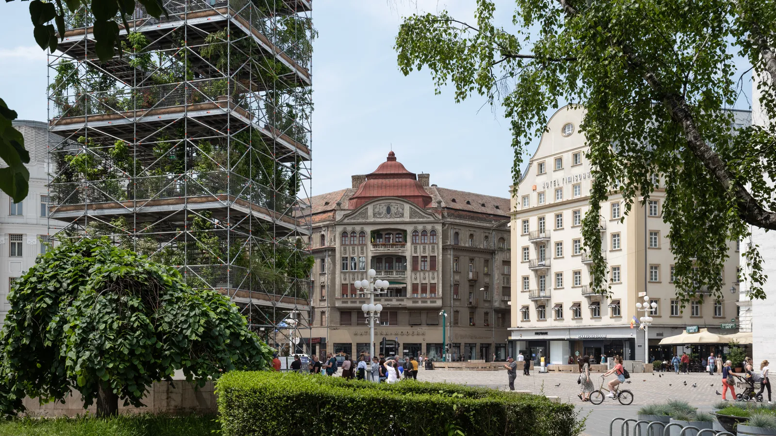 Pepiniera. 1306 plante pentru Timișoara 