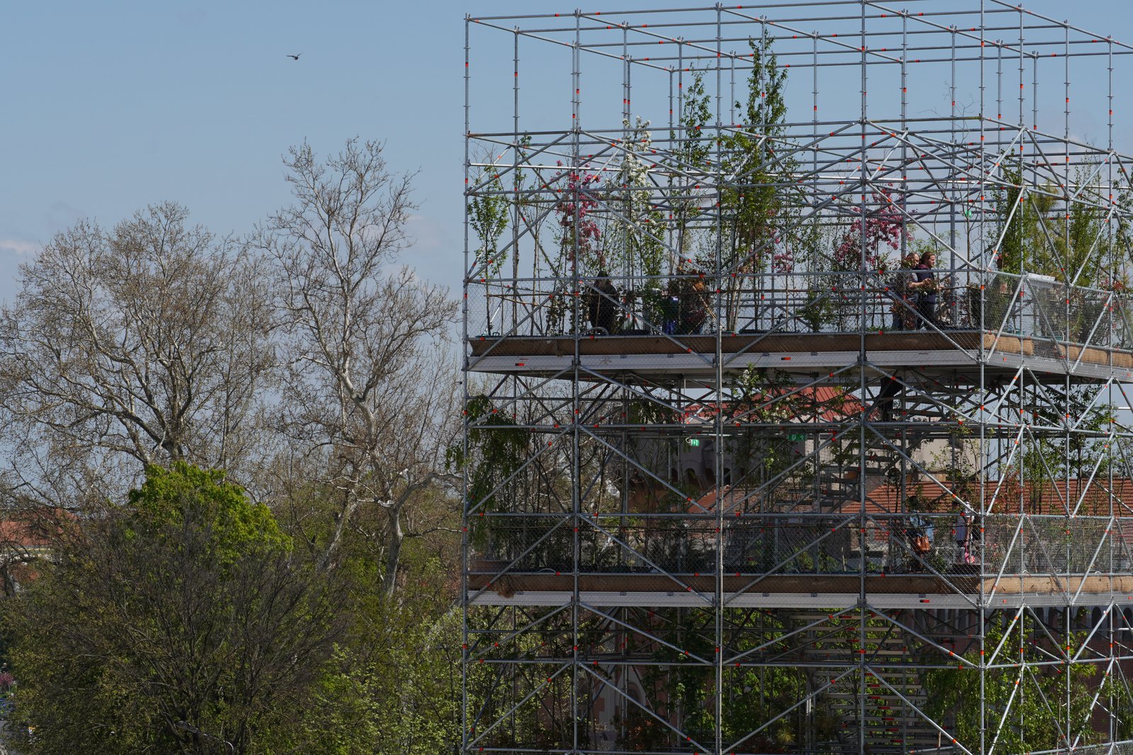 Pepiniera. 1306 plante pentru Timișoara 